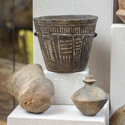 compressed-2025_12_10_NZ83262-min (1).jpg