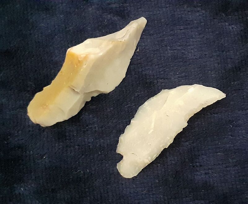 Mikrolithen unter die Lupe genommen.jpg